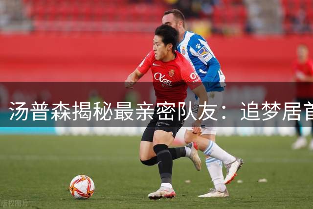 汤普森揭秘最亲密队友：追梦居首 库里如兄长